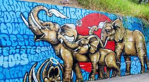 The history of graffiti. Reading Comprehension Test, 2nd term