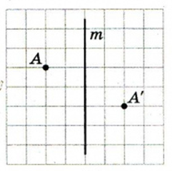 0402wlu8-7808-241x240.png