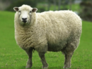 0402wm7w-3fb4-130x98.png