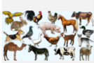 0402wm8e-4e2c-134x91.png
