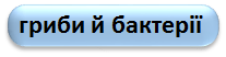 0402wmsv-d384-207x52.png