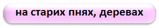 0402wmt8-5dcf-312x56.png