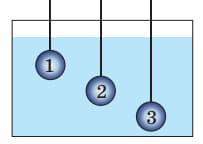 0402wpn3-bd9e-203x144.png
