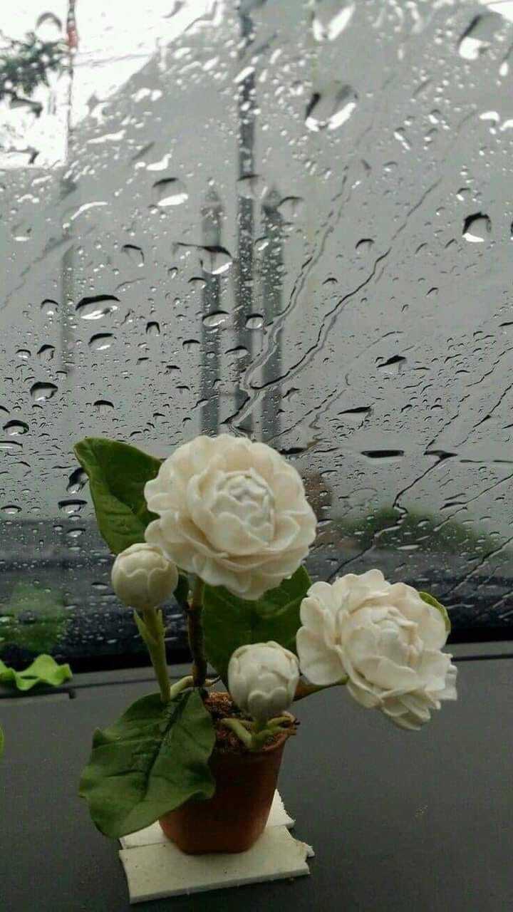 Возможно, это изображение цветок