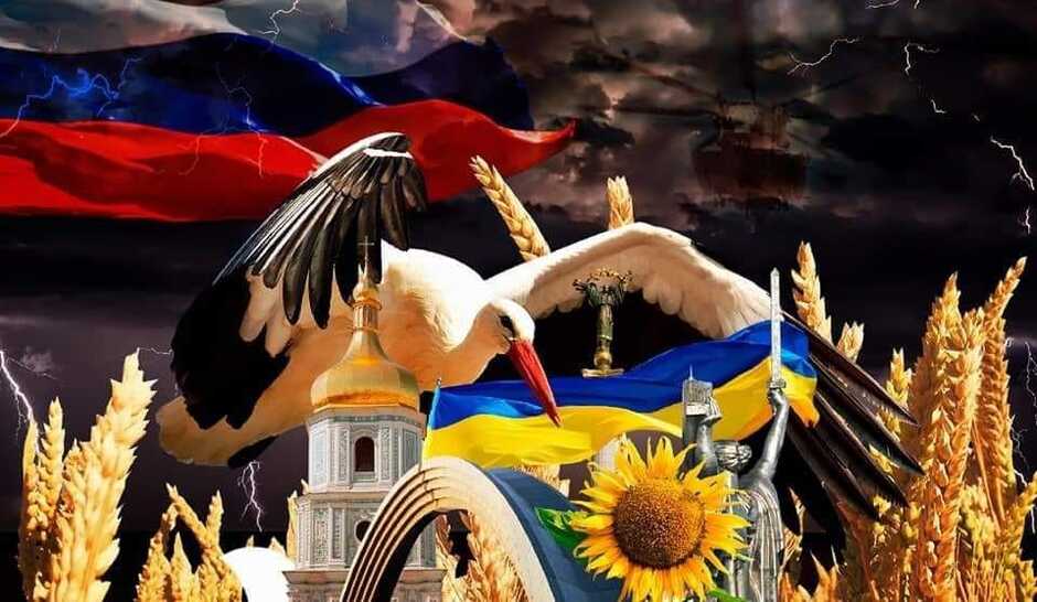 Нет описания фото.