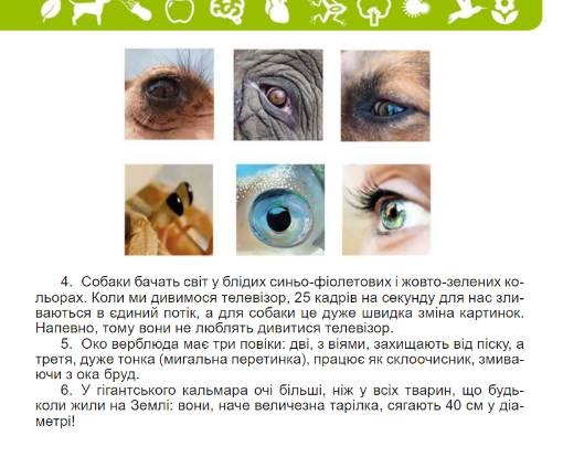 0402wxjv-f644-510x414.png