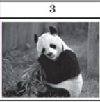 0402wyt3-20c6-144x148.png