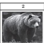 0402wyum-b331-153x151.png