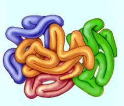 0402x213-9051-243x207.jpg