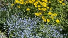 Natur und wir