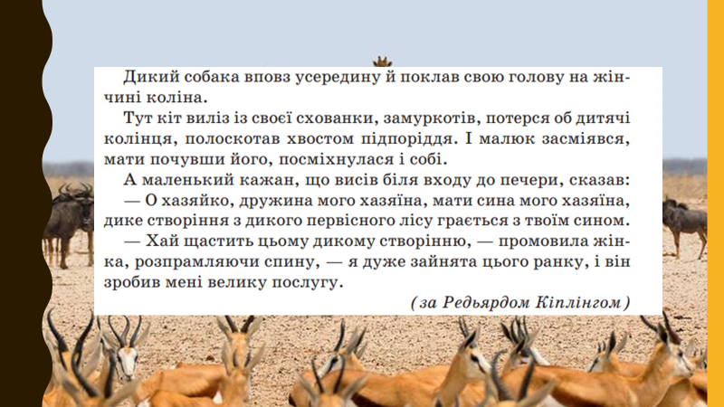 0402x3c4-13b6-800x450.png