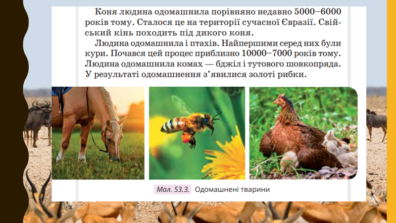 0402x3cp-244a-800x450.png