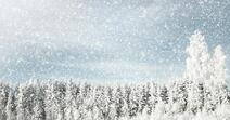 Winter background with snowy weather in the forest Stock Photo by ©karidesign 98723840