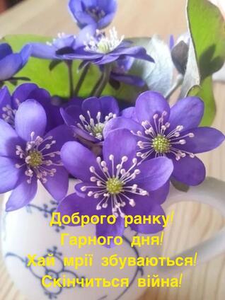 0402x57k-72f3-318x424.jpg