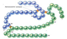 0402x6g7-c081-282x165.jpg
