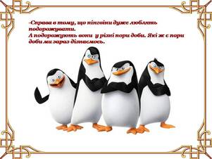 0402x7b9-6556-301x226.jpg