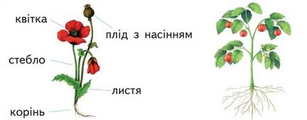 0402x870-df82-432x170.jpg