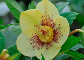 0402x88a-4efe-280x202.jpg
