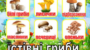 Наочність "Їстівні та отруйні гриби"