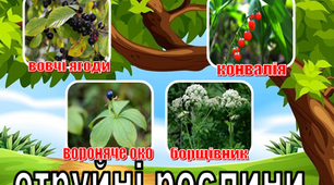 Наочність до теми "Ліс" ("Отруйні рослини, їстівні ягоди)