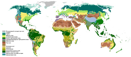 0402x9vq-1751-444x194.jpg