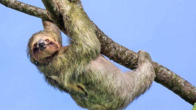 0402xagy-928a-640x360.jpg