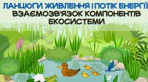 Ланцюги живлення і потік енергії