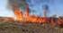 Пожежа у природі. Наслідки спалювання сухостою.