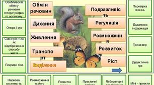 Процеси життєдіяльності тварин