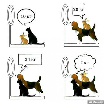 0402xloi-473e-350x350.jpg