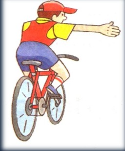 0402xm2q-fdfd-256x310.png