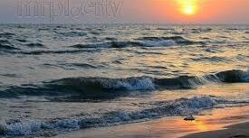 Біота Чорного та  Азовського морів