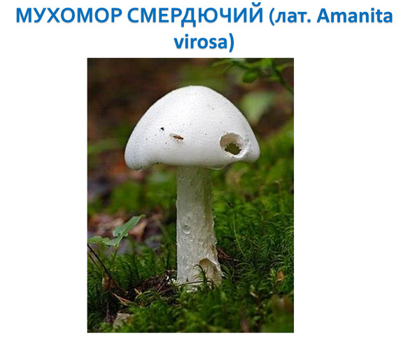 0402xqbb-76f6-573x485.png