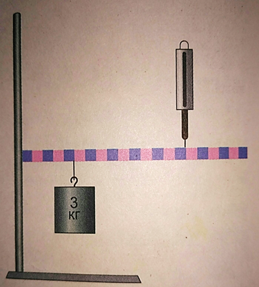 0402xv0x-965b-376x416.png
