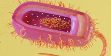0402xwe6-666b-378x191.gif