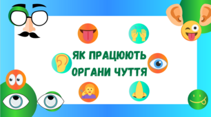 Презентація для 5 класу на тему ,,Як працюють органи чуття,,