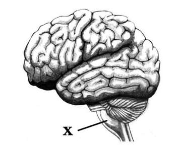 0402y0wa-444b-347x294.png