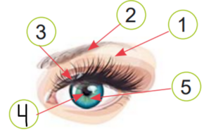0402y1d4-485f-290x186.png