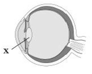 0402y1qp-f38c-189x153.png