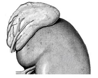 0402y1sd-98c2-192x152.png