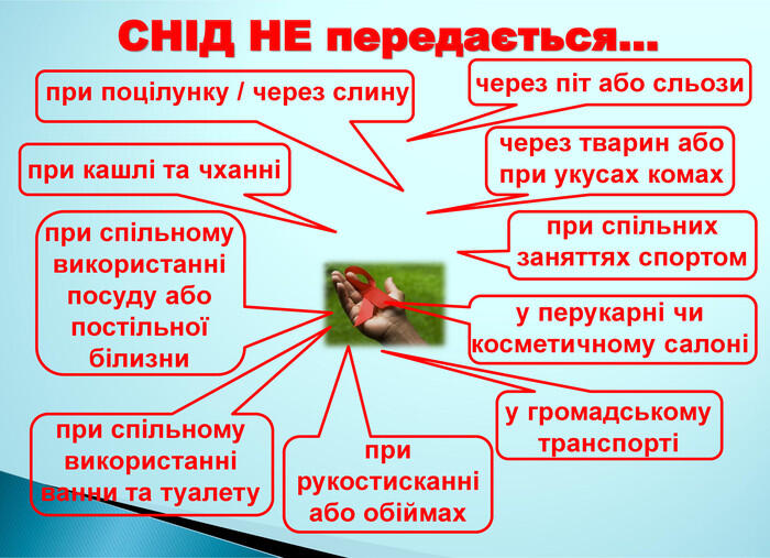 0402y25g-980d-700x507.jpg