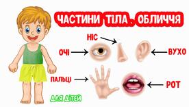 ЧАСТИНИ ТІЛА Обличчя - YouTube