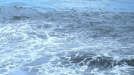 0402y4kf-7d60-440x247.gif