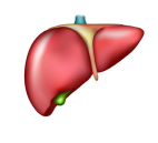 0402y62n-485d-142x129.png