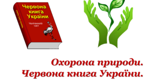 Презентація "Охорона природи. Червона книга України"