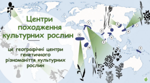 Презентація до теми "Осередки походження культурних рослин і свійських тварин"