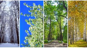  Seasons. Weather. (роздатковий матеріал)