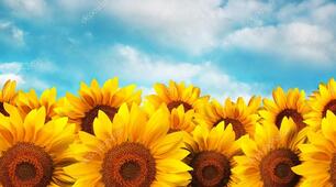 Іменник. ІІ відміна ч.р.