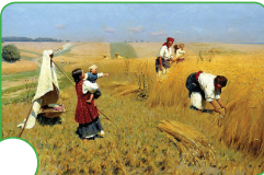 0402yl9w-c061-241x160.png