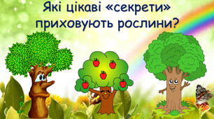 Які секрети "приховують" рослини влітку?